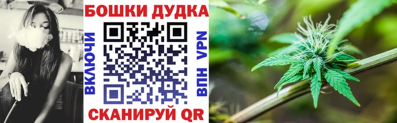 Продажа наркотиков Славянск-на-Кубани Гашиш  Псилоцибиновые грибы  omg   Меф мяу мяу  Каннабис  Alpha PVP 