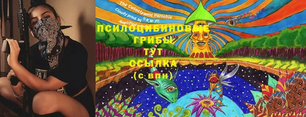 кристаллы Покачи