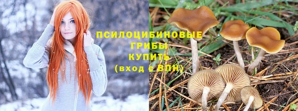 кокаин премиум Покровск