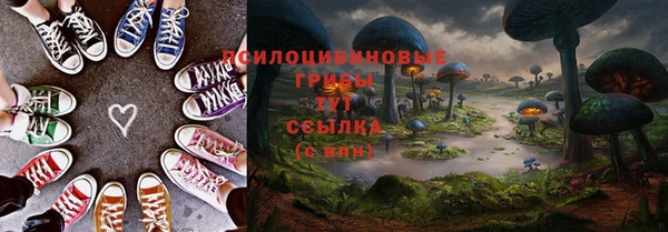 apvp Ессентукская