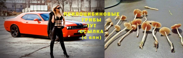 MDMA Premium VHQ Новосибирск