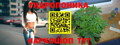 a pvp Заводоуковск