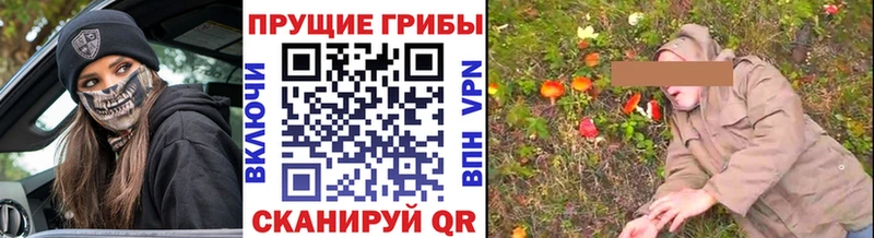 Галлюциногенные грибы Cubensis  Славянск-на-Кубани 