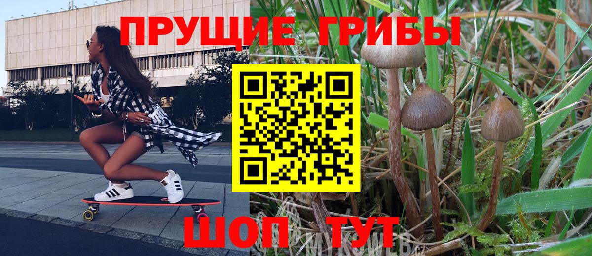 Галлюциногенные грибы Magic Shrooms  купить наркоту  Славянск-на-Кубани  Вход с VPN 